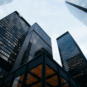 Business Reorganization